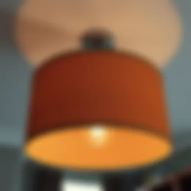 Maintenance tips for prolonging ceiling light shade life