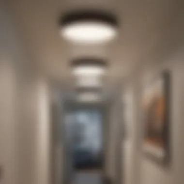 Trendy flush mount ceiling lights in a modern hallway