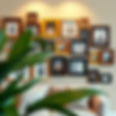 Diverse Styles of Small Collage Frames Diverse styles of small collage frames arranged on a wall