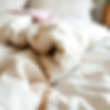 A close-up of the materials used in a children's twin comforter, showcasing softness and quality.