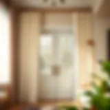 Elegant French door curtains enhancing living space aesthetics
