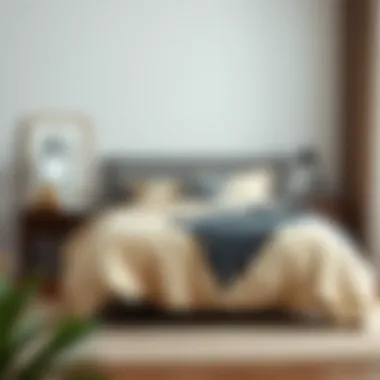 Cozy bedroom with full size comforter