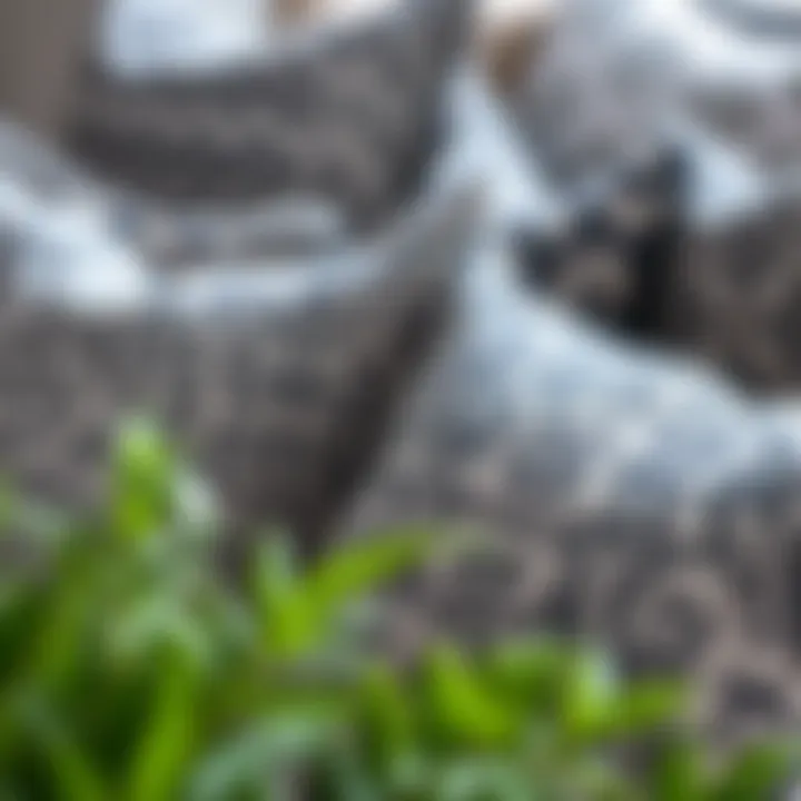 Different patterns and textures of gray European pillow shams