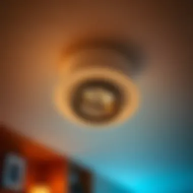 Energy-efficient ceiling spotlight showcasing its design features