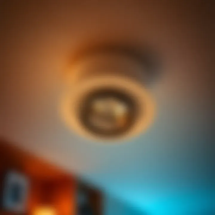 Energy-efficient ceiling spotlight showcasing its design features