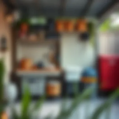 Organized outdoor storage unit with various items
