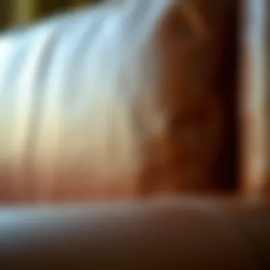 Close-up of high-quality leather texture