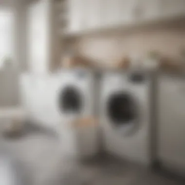 An organized laundry space showcasing a plastic double hamper in use.