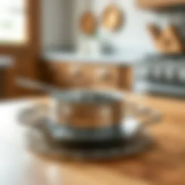 Close-up of maintenance tips for stainless steel trivets