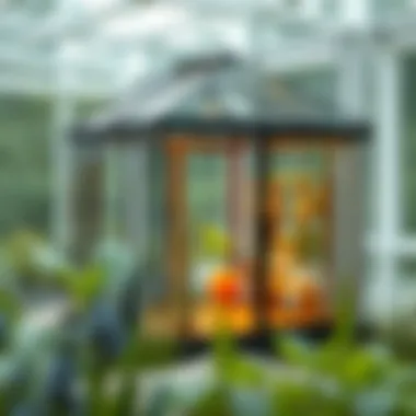 Understanding Thermal Dynamics Schematic illustrating thermal dynamics in glass greenhouse