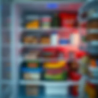 Neatly organized fridge showcasing categorized sections