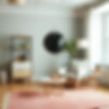 Color palette inspiration for rug selection