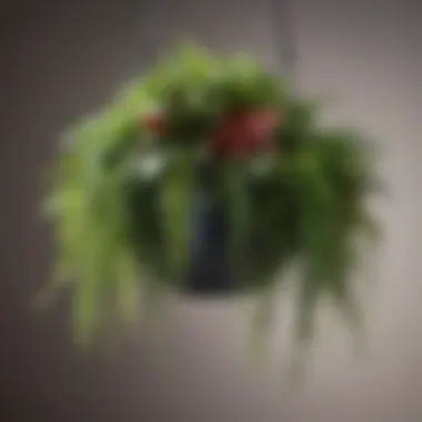 Close-up of vibrant plants thriving in a self-watering hanging planter