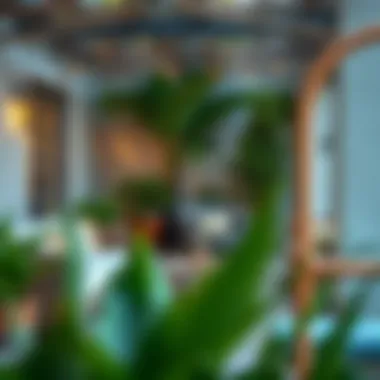 Inviting Outdoor Patio Arrangement Outdoor patio showcasing inviting seating arrangements