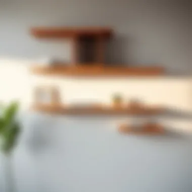 Geometric wall shelves featuring artistic decor