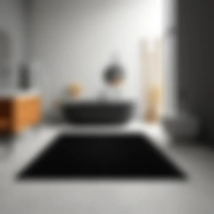Aesthetic arrangement of large black rug with modern bathroom fixtures