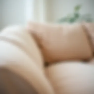 Variety of materials for couch covers displayed