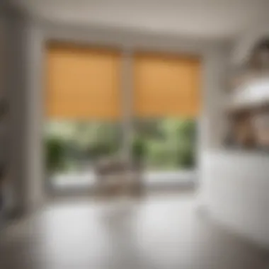 Brightly lit kitchen with stylish roller blinds