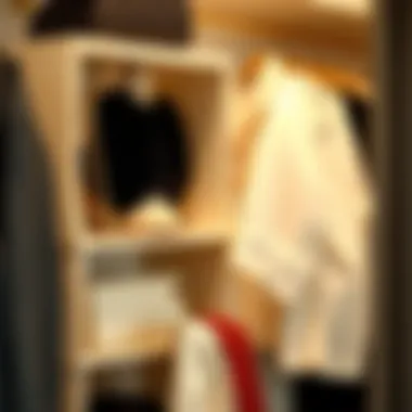 Elegant shelf hanging closet organizer showcasing various compartments for accessories.