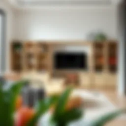 Stylish modular toy storage solution in a modern living room