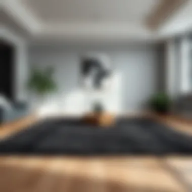 Black Rug as Focal Point Striking black rug as a focal point in a contemporary room