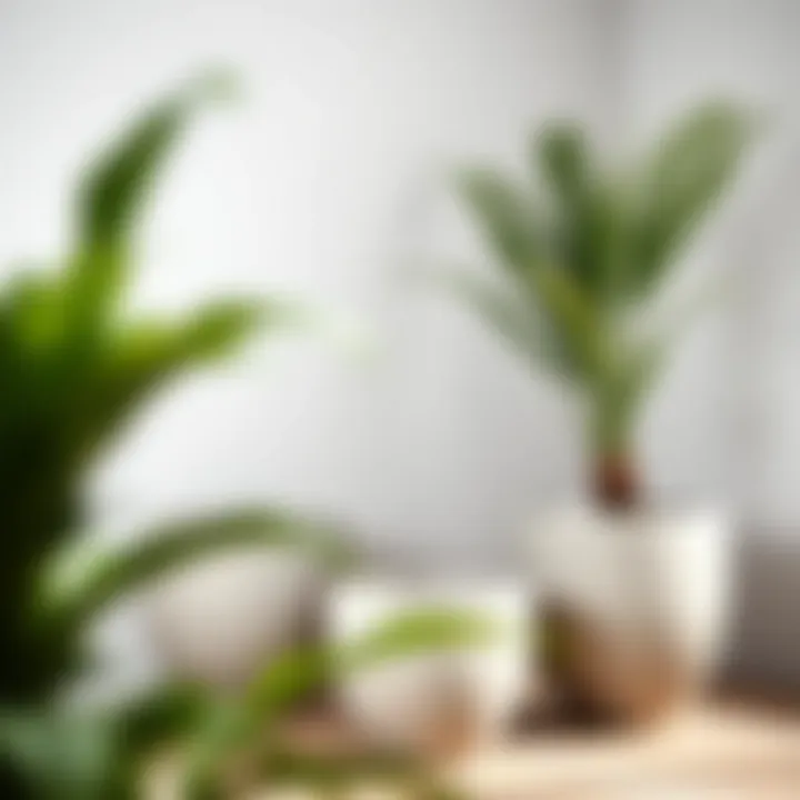 Minimalist Interior Featuring Concrete Pots Concrete pots integrated in a minimalist interior space