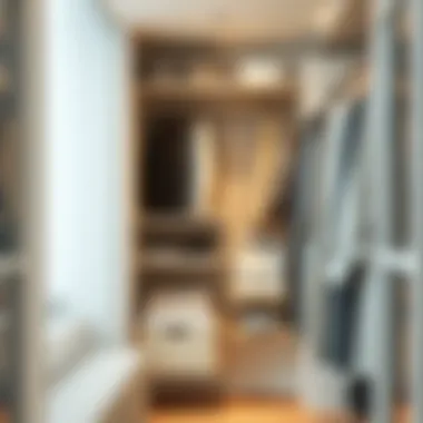 Well-organized closet featuring a shelf hanging organizer optimizing space and aesthetics.