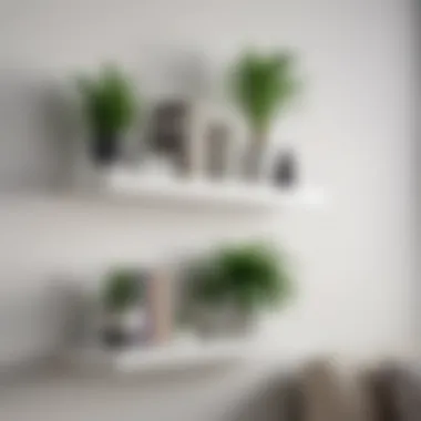 Close-up of minimalist white floating shelves displaying books and plants.