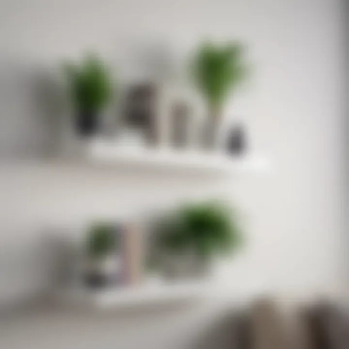 Close-up of minimalist white floating shelves displaying books and plants.